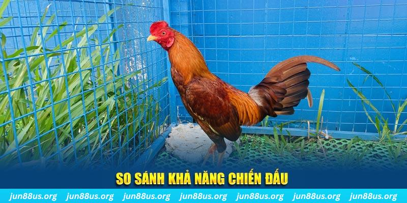 vin68 xổ số tiền giang