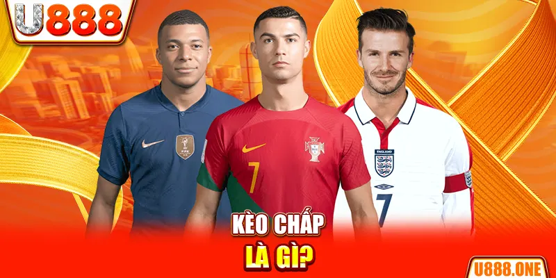 vin68 chổi lông gà
