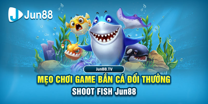 vin68 tai game danh bai bigkool ve may tinh