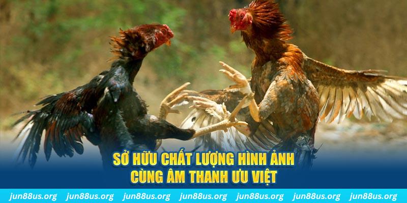 vin68 tai game danh bai ve may tinh