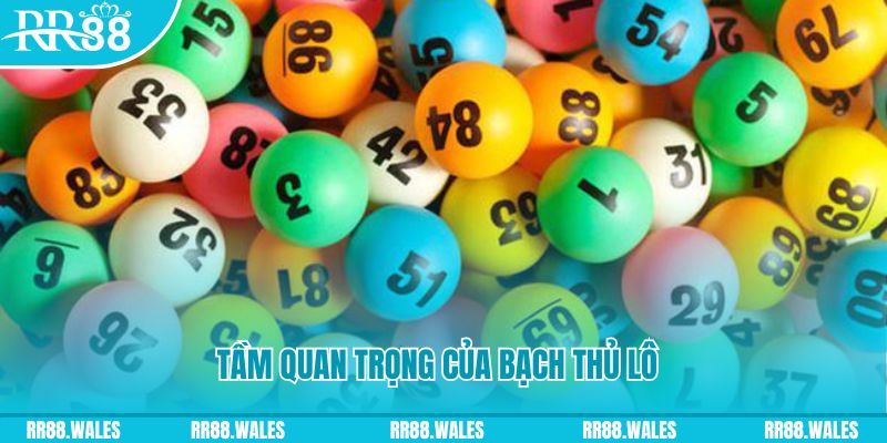 vin68 đá gà trực tiếp casino