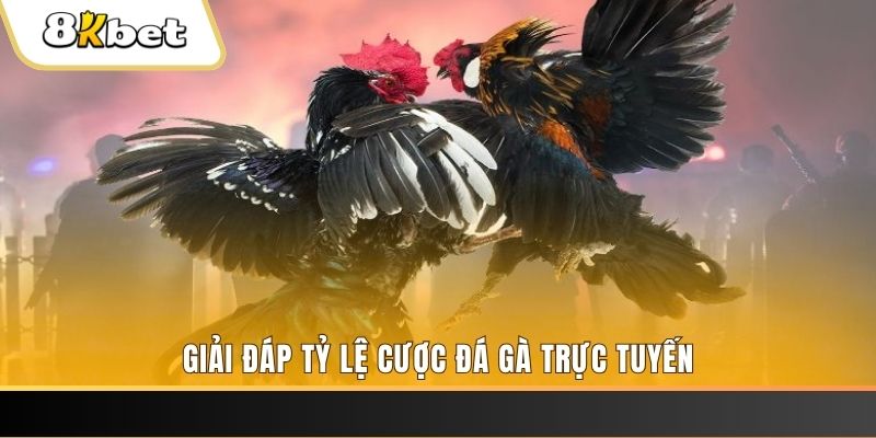 vin68 xổ số ba đài